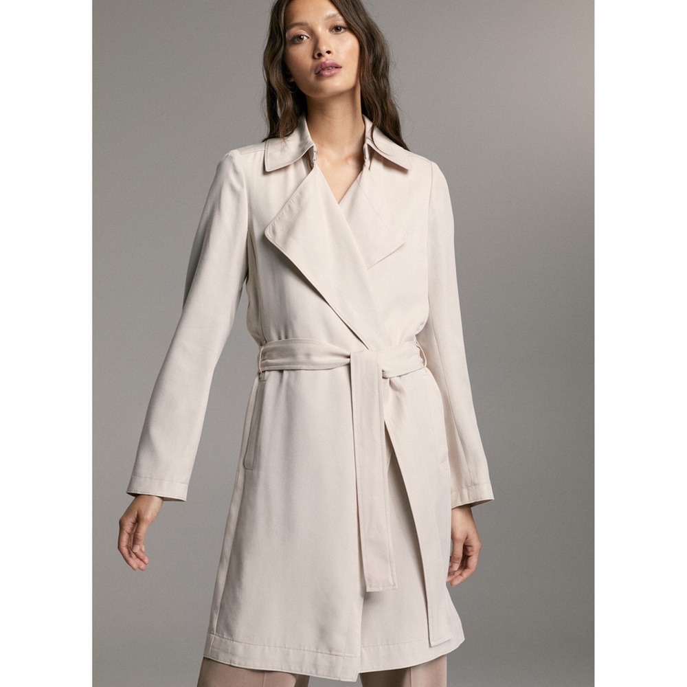 Aritzia Babaton Maximo Trench Coat
